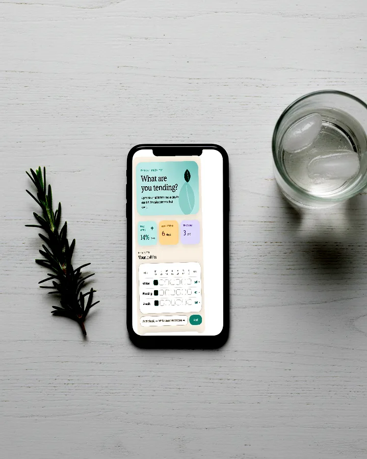 The Habit Tracker app on a phone laid on a white oak table beside a sprig of rosemary, photographed from above.